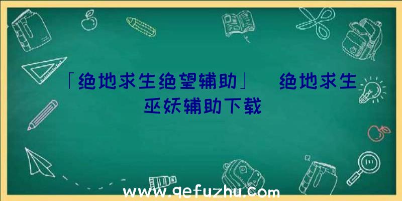 「绝地求生绝望辅助」|绝地求生巫妖辅助下载